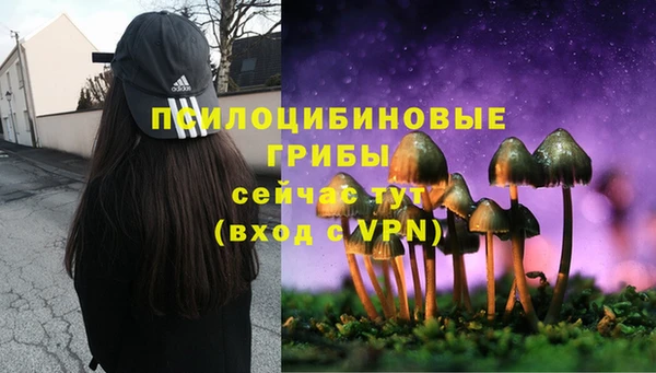 тгк Алексин