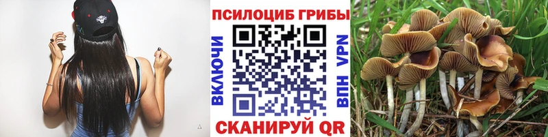Галлюциногенные грибы Magic Shrooms  Старый Крым 